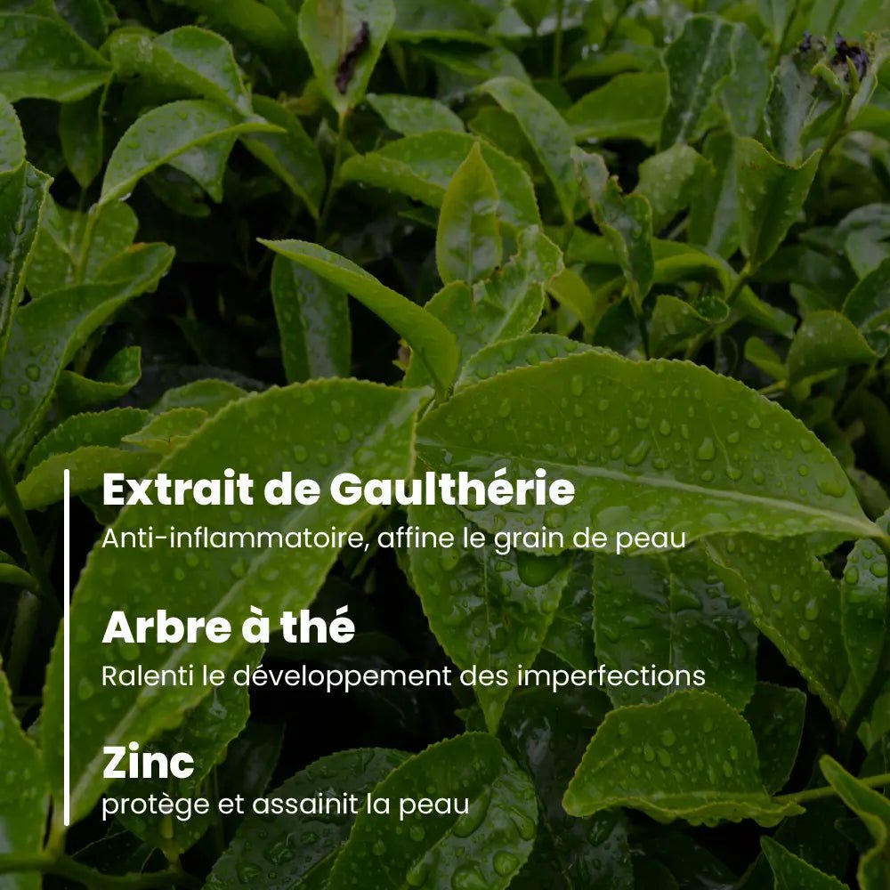 3701399702335 - BB crème Bio Gold - peaux médiums à foncées - Charlotte Bio